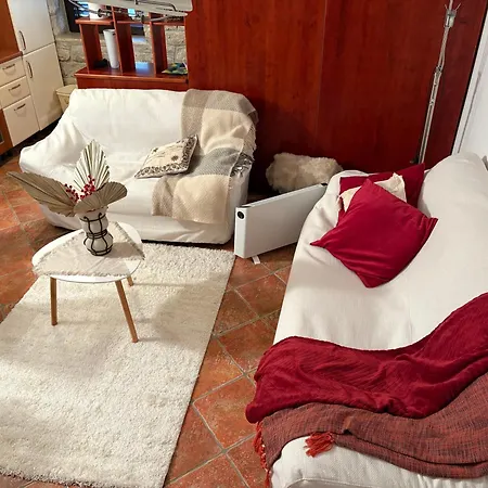 Apartment Residenceone